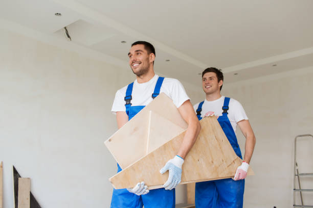 Best Basement Cleanout  in Lake Of The Woods, IL